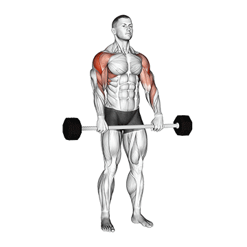 Upright Row demonstration