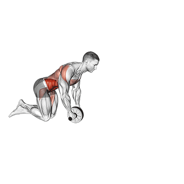 Wheel Rollout demonstration