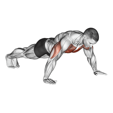 Wide Grip Push Up demonstration