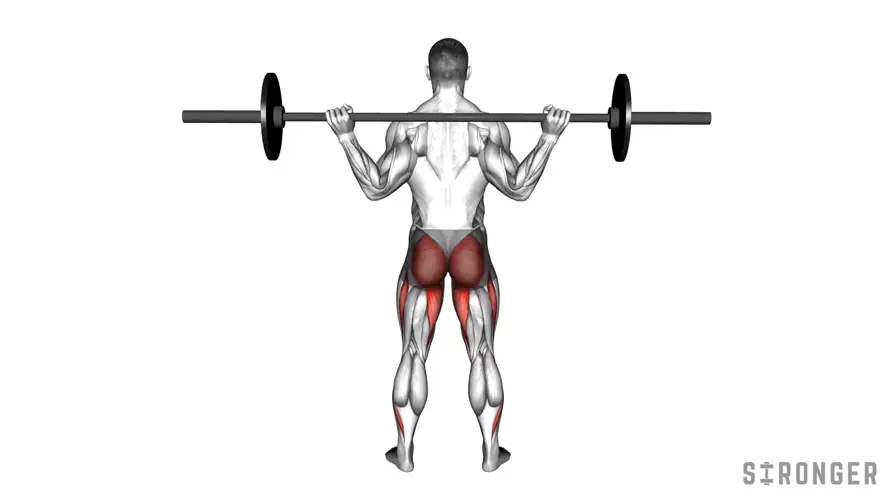 Barbell Back Squat demonstration