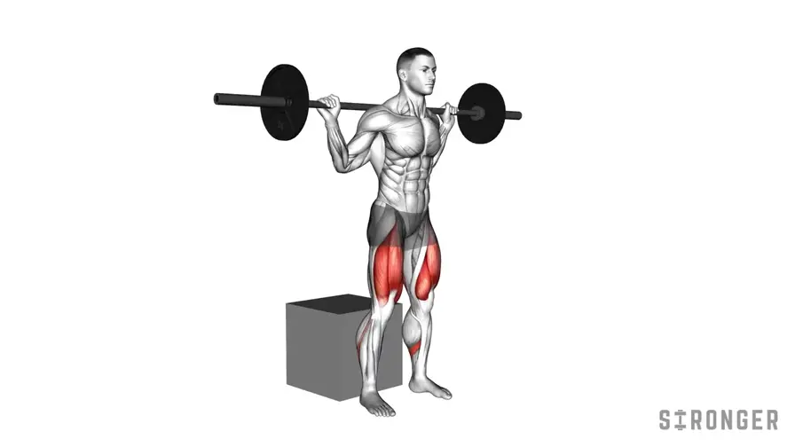 Barbell Box Squat demonstration
