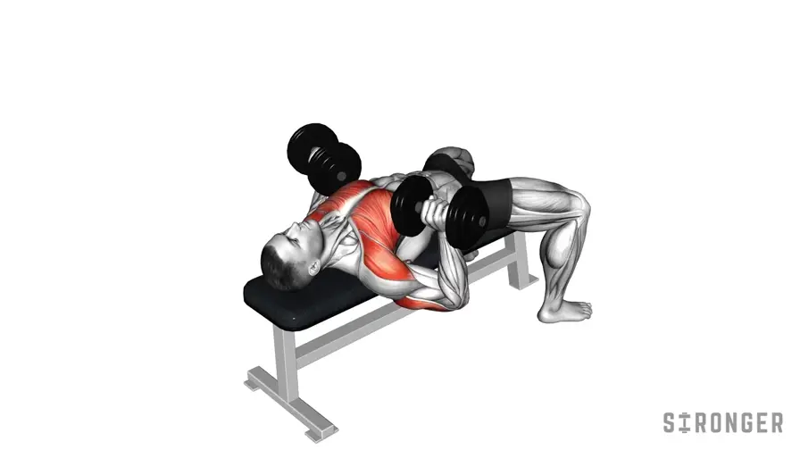Dumbbell Press demonstration