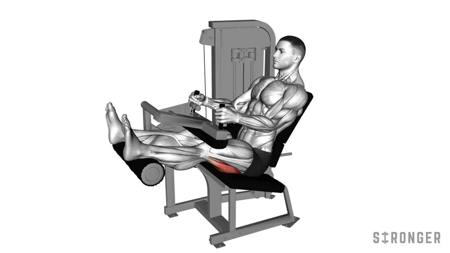 Leg Curl demonstration