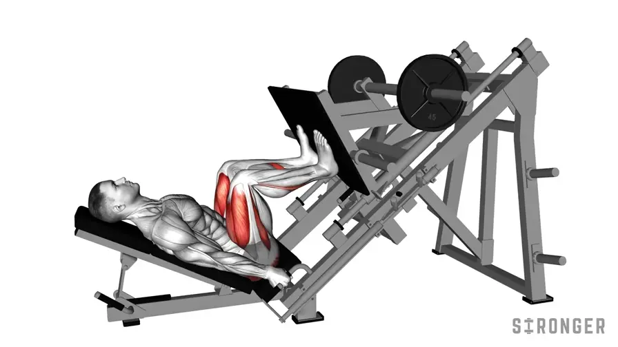 Leg Press demonstration